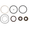 ZF 1295.298.003 Zestaw uszczelek skrzyni biegów 1295298003