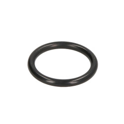 ZF 0634.303.312 Oring 0634303312