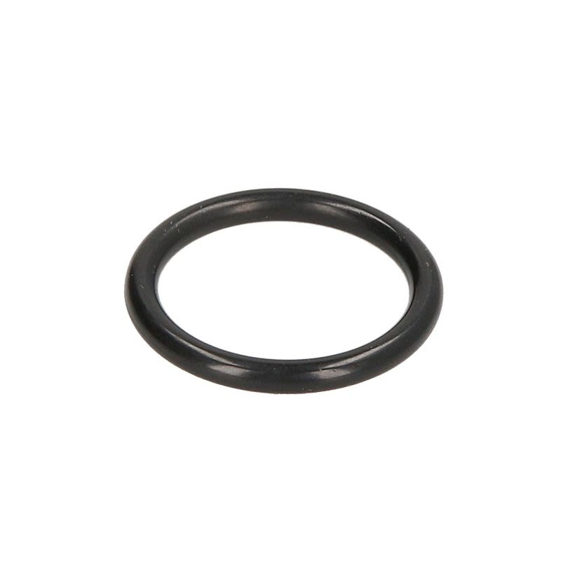 ZF 0634.303.312 Oring 0634303312