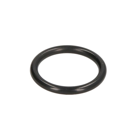 ZF 0634.303.312 Oring 0634303312