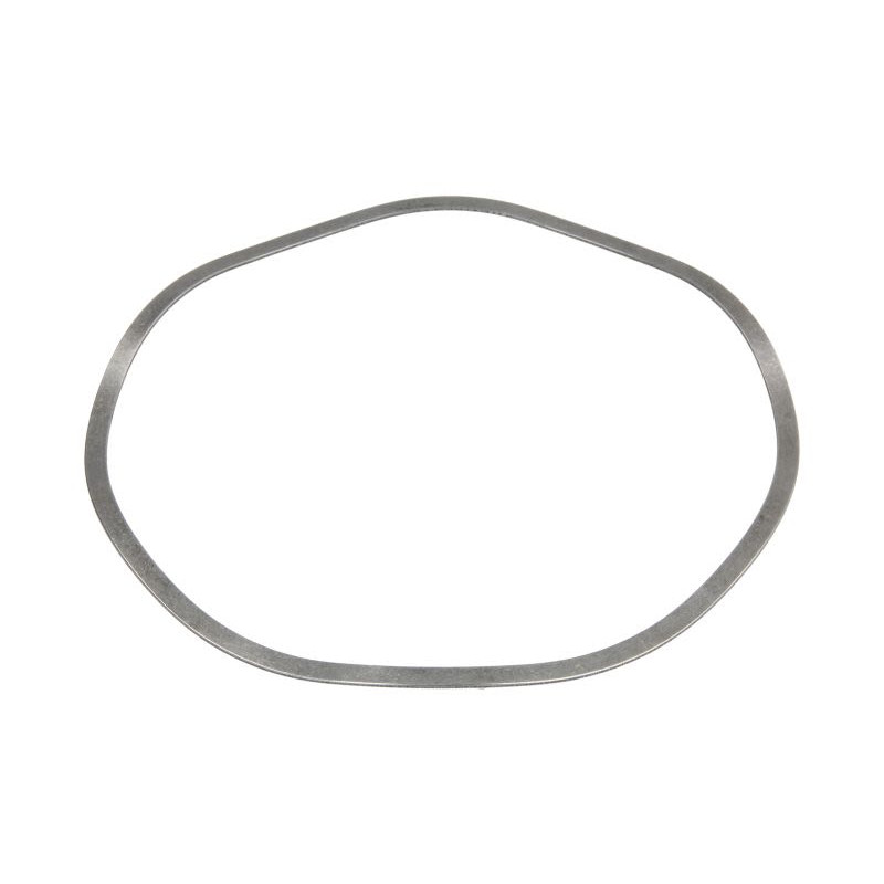 ZF 0501.325.499 Pierścień zabezpieczający 0501325499