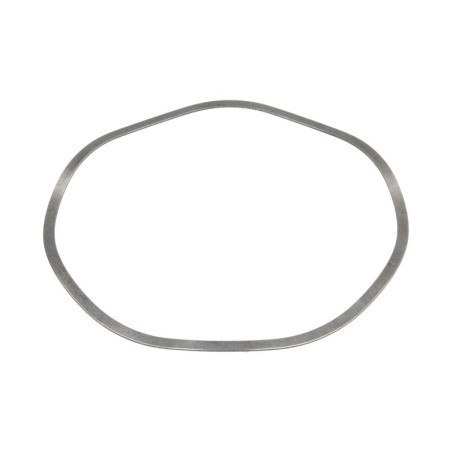 ZF 0501.325.499 Pierścień zabezpieczający 0501325499
