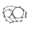 ZF 0501.328.636 Uszczelka skrzyni biegów 0501328636