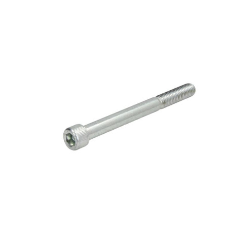 ZF 0636.102.426 Śruba automatycznej skrzyni biegów 0636102426