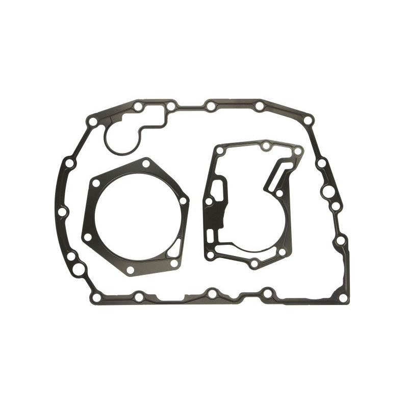 ZF 1324.298.025 Zestaw uszczelek skrzyni biegów 1324298025