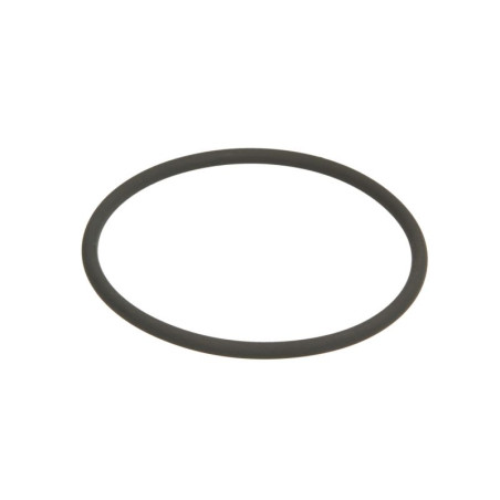 ZF 0634.313.029 Oring 0634313029