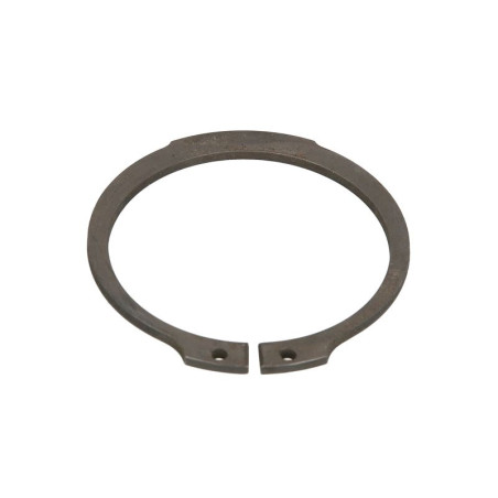 ZF 0501.317.850 seger zabezpieczając 0501317850