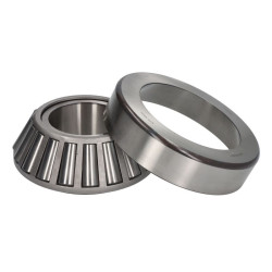 ZF 0750.117.860 Łożysko mechanizmu różnicowego 0750117860
