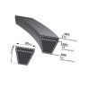 Pasek klinowy 22x2861mm Ld Optibelt 5700037462325