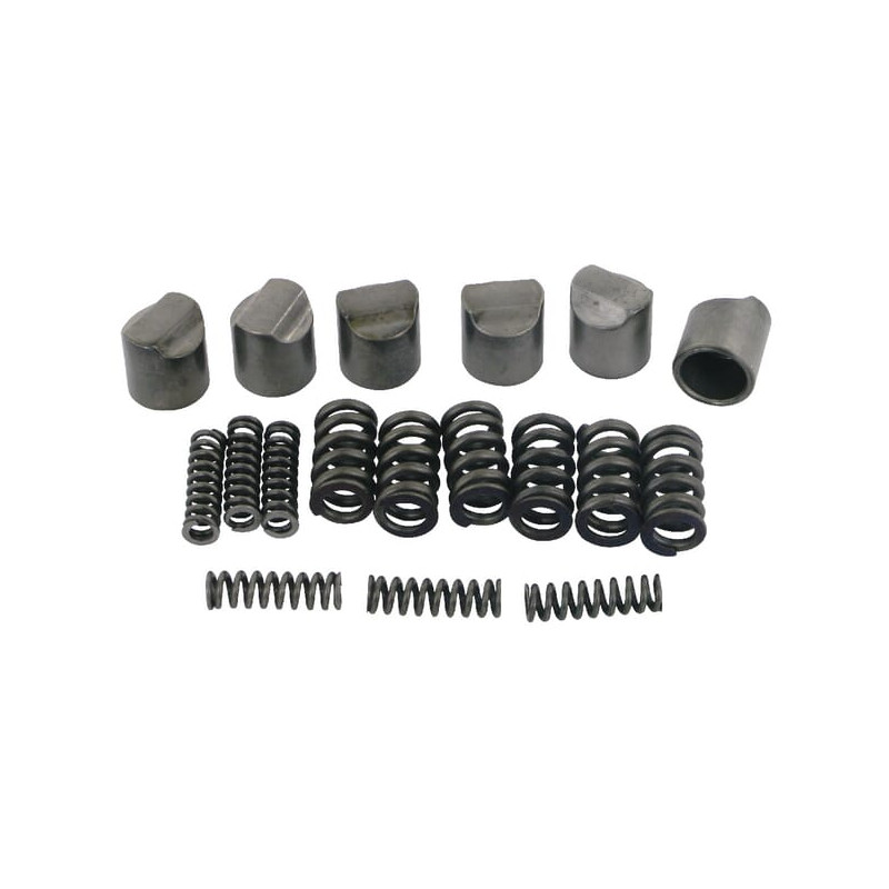 B&P 421340007R06 Krzywka ze sprężyną, do sprzęgła LN1-4 (6szt.) Bondioli Pavesi