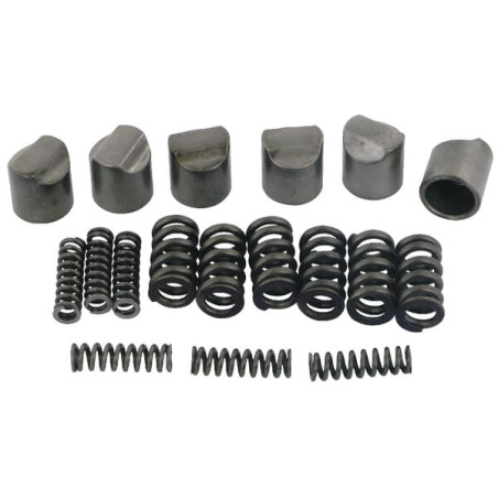 B&P 421340007R06 Krzywka ze sprężyną, do sprzęgła LN1-4 (6szt.) Bondioli Pavesi