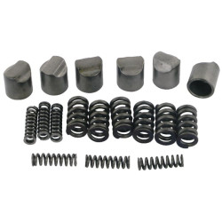 B&P 421340001R06 Krzywka ze sprężyną, do sprzęgła SA1-4 (6szt) Bondioli Pavesi