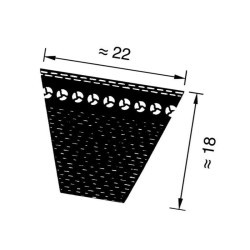 Pasek klinowy uzębiony 22x2500mmLd Optibelt 4014486259650