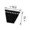Pasek klinowy uzębiony 16,3x2020mm Ld Optibelt 4014486259452