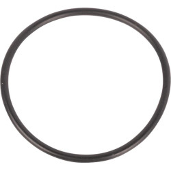 Pierścień uszczelniający o-ring
