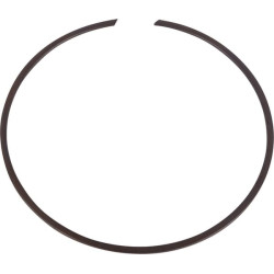Pierścień sprężynujący