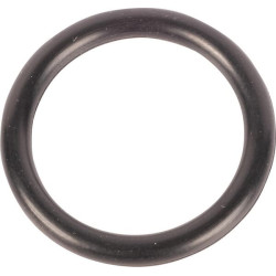 Pierścień uszczelniający o-ring