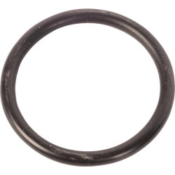 Pierścień uszczelniający o-ring