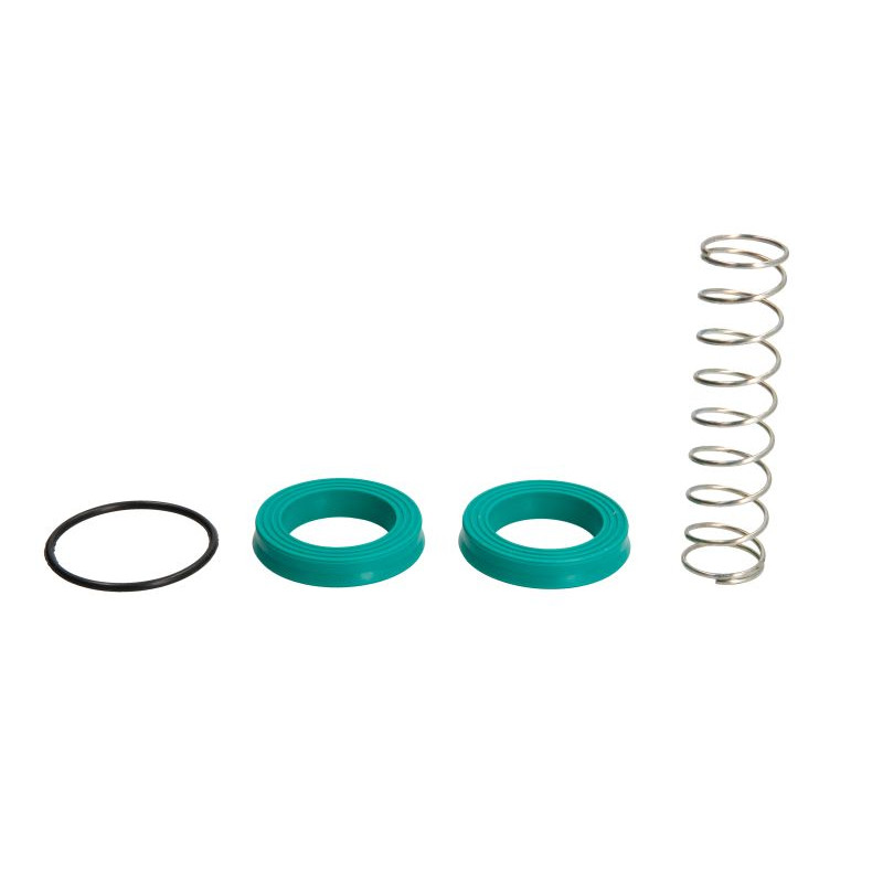Zestaw naprawczy pompy hamulcowej 1810917M94 Massey-Ferguson 2000-1810917M94I