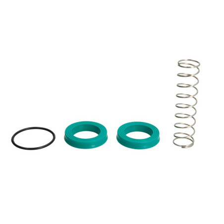 Zestaw naprawczy pompy hamulcowej 1810917M94 Massey-Ferguson 2000-1810917M94I