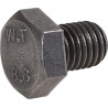 Śruba M12x16 8,8 V%C3%A4derstad 8716106977895