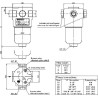 Filtr ciśnieniowy 80l/min 10µm 3/4"BSP - 3/4"BSP MPFiltri