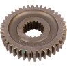 Koło zębate Z40 Carraro 120933