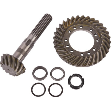 Conical group Carraro 066607