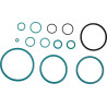 Zestaw naprawczy Carraro 046713
