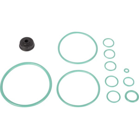 Zestaw naprawczy Carraro 046421