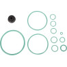 Zestaw naprawczy Carraro 046421