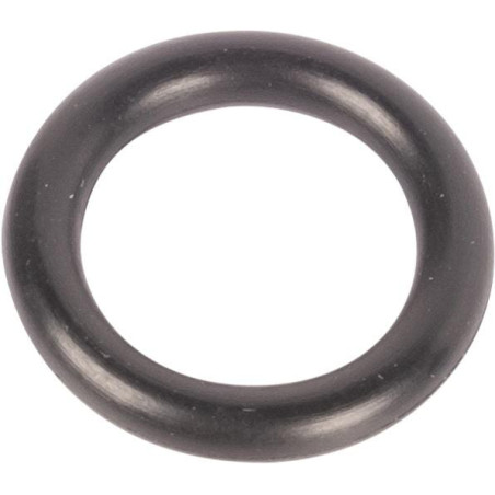 Pierścień uszczelniający o-ring Carraro 028108