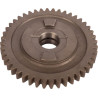 Koło zębate Z-44 Carraro 123652