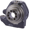 Stub axle, left Carraro 144383