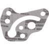 Uszczelniacz Carraro 141002
