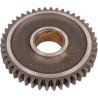 Koło zębate Z-44 Carraro 429724