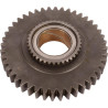 Koło zębate Z-44 Carraro 429724
