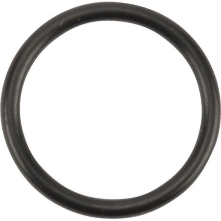 Oring 6005018612