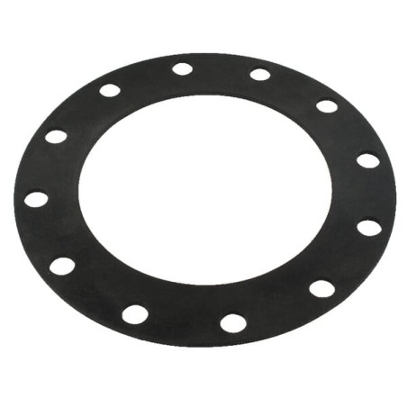 Uszczelka 6" - fi220/12x /150 Unbranded