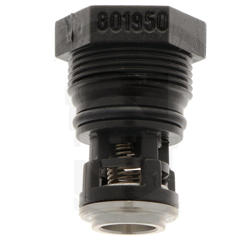 Zawór 801950 pompy AR202, AR252 - 809060 Annovi Reverberi