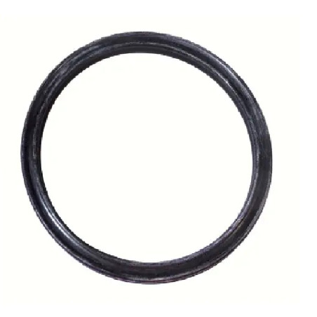 Uszczelniacz 6005022084