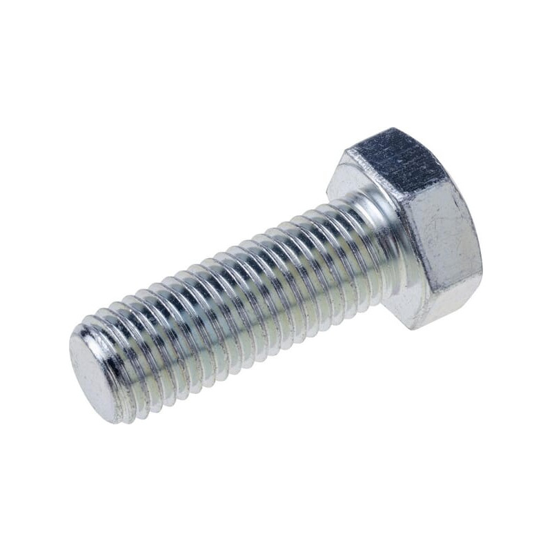 Horsch 00360163 Śruba M20x55