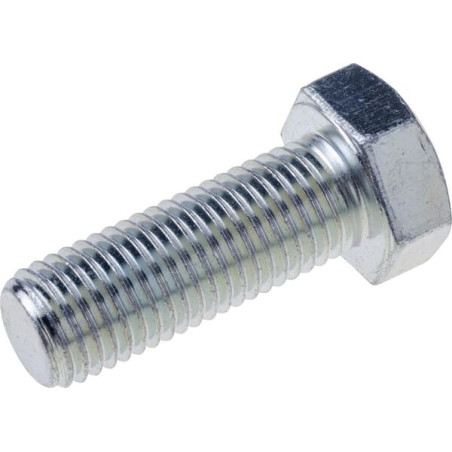 Horsch 00360163 Śruba M20x55