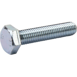 Śruba M10×50