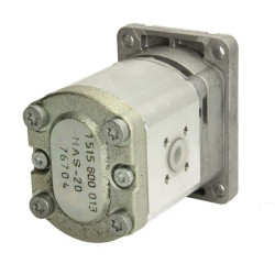 Pompa hydrauliczna zębata pasuje do: CASE-STER 0 510 645 300