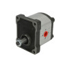 Pompa hydrauliczna zębata pojedyncza 1PN119AB11/519 