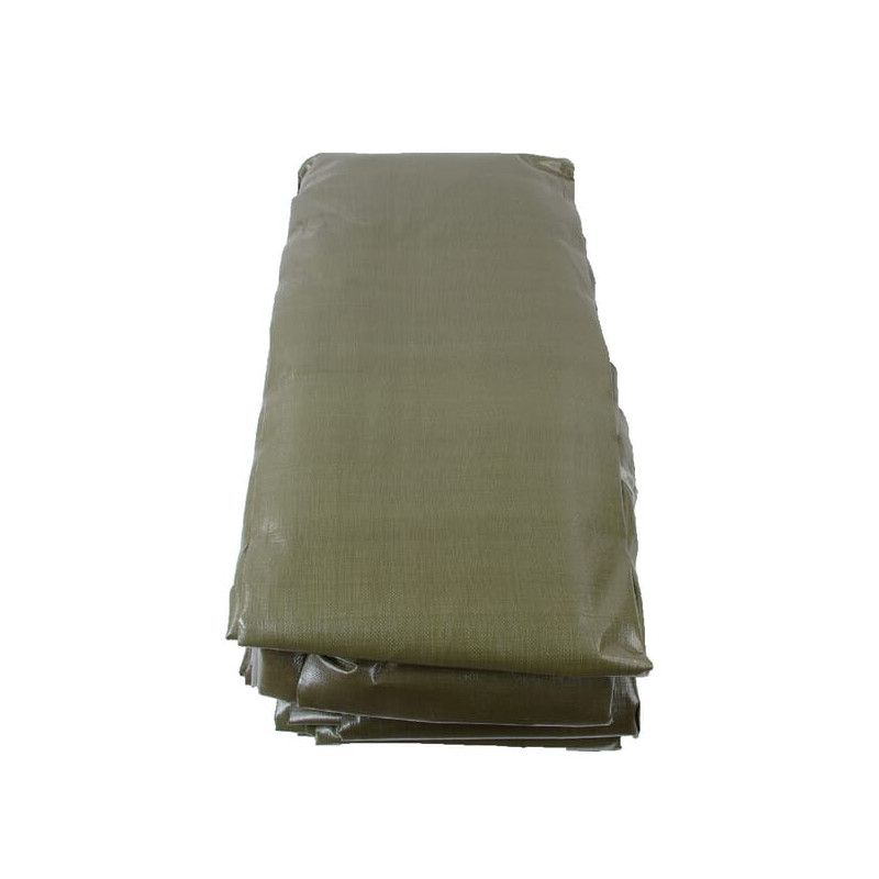 Plandeka 250 g/m² 10x12m oliwkowa PE Unbranded 8713737026503