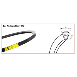 Pasek SPZ 1037