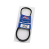 Pasek klinowy uzębiony 10x812mm Ld Optibelt 4014486100259