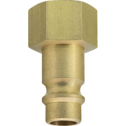 Złączka wtyk. BSP gw.wewn. 1/8"